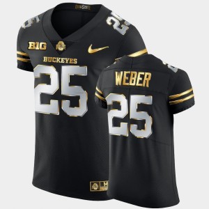 Men's Ohio State Buckeyes #25 Mike Weber Black 2020-21 Authentic Golden Edition Jersey 823575-276