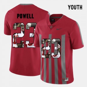 Youth Ohio State Buckeyes #23 Tyvis Powell Red Pictorial Fashion Jersey 339533-862